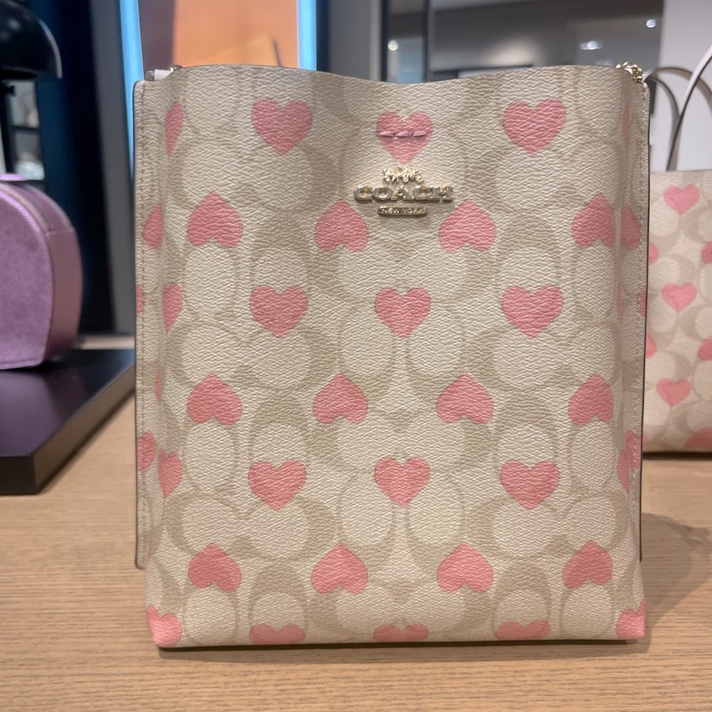 coach Mollie Bucket Bag 22 In Signature Canvas With Heart Print cp056 - Picture 2 of 10